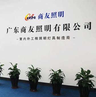 乐鱼网页版|室内/户外工程照明,路灯,景观照明,工厂照明节能改造专家